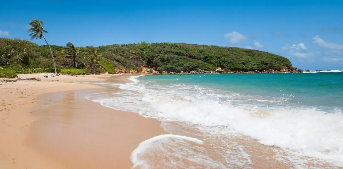 Family Villa Oleana Waterviews Oceanfront With Water And Generator Vega Alta